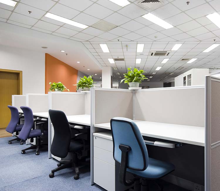 Office cubicles with chairs and a plant, safeguarded from pests by ELEET