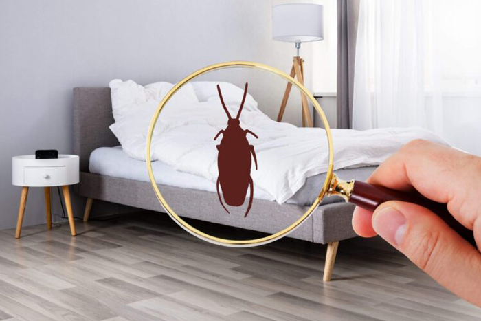 A hand holding a magnifying glass over a bed to detect bed bugs