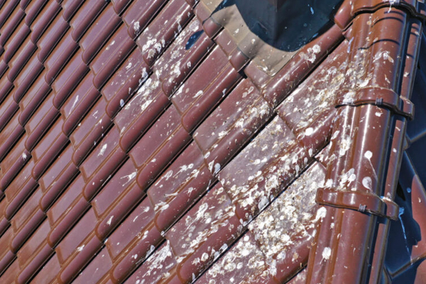 A close-up of a roof in a Chicago home serviced by ELEET