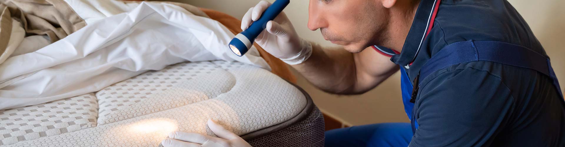 A person holding a flashlight examining a mattress in a pest-free home